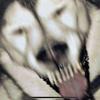 nicholaswaldrop19 - @nicholaswaldrop19 - TikTok