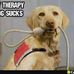 Nick Waldrop - Facebook