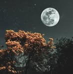 Nicholas Walley - Facebook
