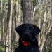 Nicholas Walling - Facebook