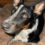 Nicholas - @nicholas_weir - Instagram