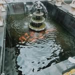 Sipalingiya_5 - @nicholaswerty - Instagram