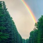 Nicholas Whitney - @amusednicholas - Instagram