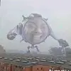 Nicholas Wildman - @nicholas.wildman - TikTok
