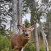 Nicholas Willey - Facebook
