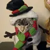 Nicholas Williams - @nicholas.williams391 - TikTok
