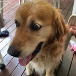 Nicholas Winkler - @5472nicholas - Instagram