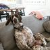 Nicholas Winkler - Facebook