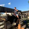 Nicholas Witcher - @nicholaswitcher - TikTok