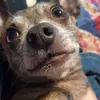nicholasworkman85 - @nicholasworkman85 - TikTok