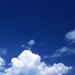 Nicholas_Wrenn - @nicholas_wrennk - Instagram