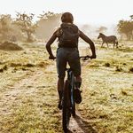 Nichole Baker - @nicholekbaker - Instagram