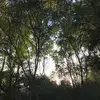 nicholechambers9 - @crazysisters104 - TikTok