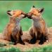 Nichole Coster - Facebook