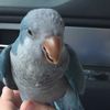 Nichole Cunningham  - @derpy12205 - TikTok
