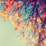 Nicole Herbert - @user79270652 - TikTok