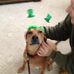 Nichole Kramer - Facebook