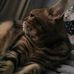 Nichole Li Ma - Facebook