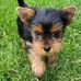 Nichole Lopez - Facebook