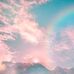 Nichole Mueller DVM Reels - Facebook
