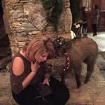 Nichole Wells - @nichole.wells52 - Instagram