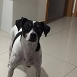 Nick Abreu - @abreu.nick2013_2020 - Instagram