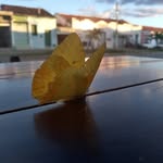 Nick Abreu - @nick_abreu098 - Instagram