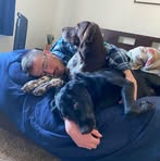 Nick Ackley - Facebook