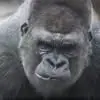 Nick Ackley - @nick.ackley8 - TikTok