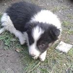 Nick Addis - @addisnick - Instagram