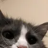Nick Adkins - @egg13723 - TikTok