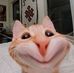 Nick Adrian - Facebook