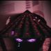 Nick Adrian - Facebook