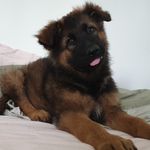 nick agnew - @nickagnew - Instagram
