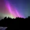 nick_agnew - @nick_agnew - TikTok