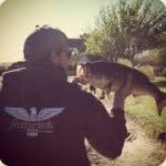 Nick Ahearn - @nahearn - Instagram