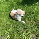 Nick - @ahearnnn_nick - Instagram
