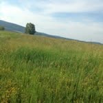 Nick_aho - @ahmed198023 - Instagram
