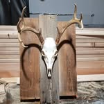 nick aho - @rustic_builder - Instagram