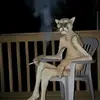 nick - @nickaho47 - TikTok