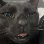 nick - @nick.alba08 - Instagram