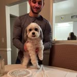 Nick - @nickaltieri31 - Instagram