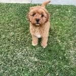 Nick Ames - @nickames66 - Instagram