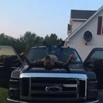 Nick Anastasio - @nickanastasio - Instagram