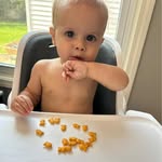Nick Andersen - @nickandersenn - Instagram