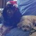 Nick Ansley - Facebook