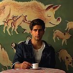 Nick Antonello - @nickantonello - Instagram