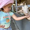 Nick Appleby - @paul.weller29 - TikTok