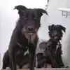 Nicki Appleby - @nicki.appleby - TikTok