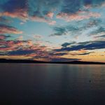 Nick Armour - @armour.nick - Instagram